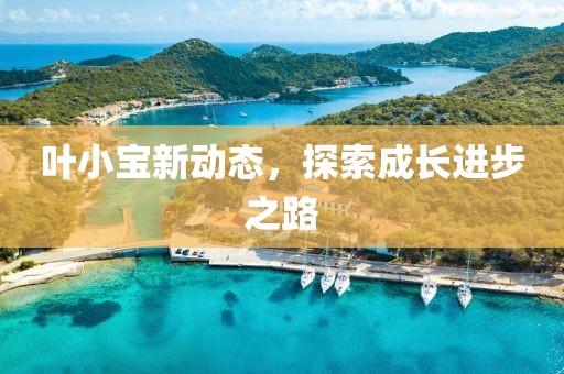 叶小宝新动态，探索成长进步之路