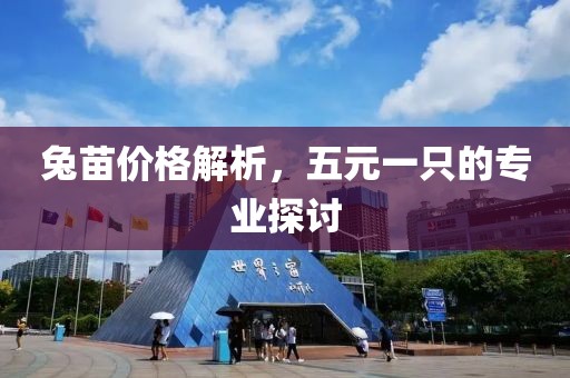 兔苗价格解析，五元一只的专业探讨