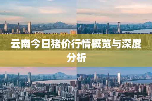 云南今日猪价行情概览与深度分析