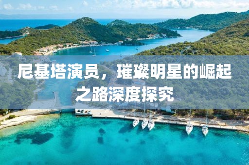 尼基塔演员，璀璨明星的崛起之路深度探究