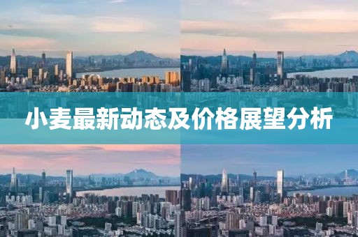 小麦最新动态及价格展望分析