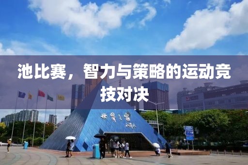 池比赛，智力与策略的运动竞技对决