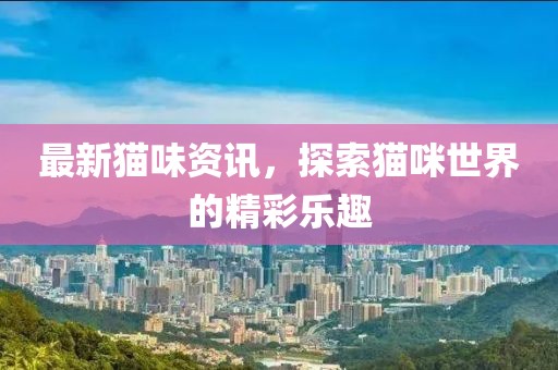 最新猫味资讯，探索猫咪世界的精彩乐趣