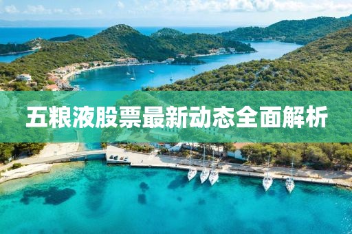 五粮液股票最新动态全面解析