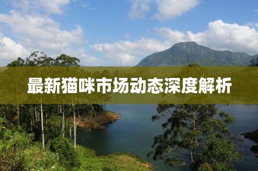 最新猫咪市场动态深度解析