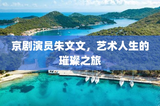 京剧演员朱文文，艺术人生的璀璨之旅
