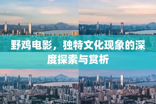 野鸡电影，独特文化现象的深度探索与赏析
