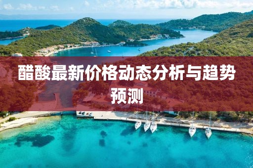 醋酸最新价格动态分析与趋势预测