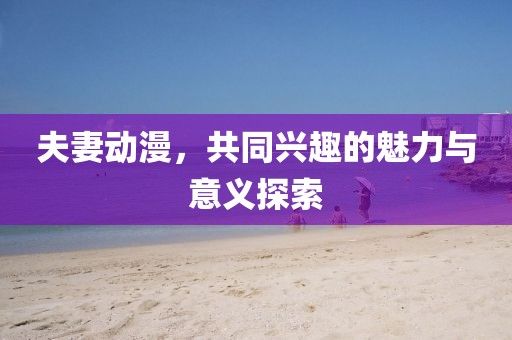 夫妻动漫，共同兴趣的魅力与意义探索