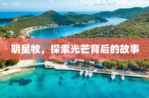 明星牧，探索光芒背后的故事