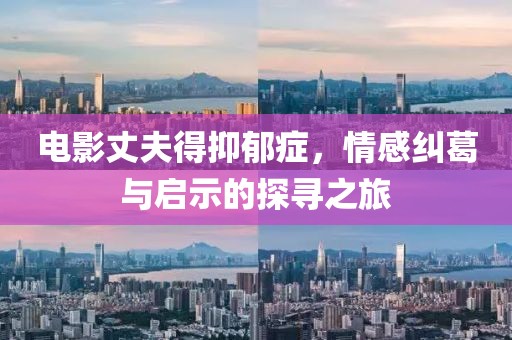 电影丈夫得抑郁症，情感纠葛与启示的探寻之旅
