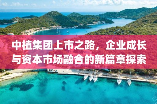 中植集团上市之路，企业成长与资本市场融合的新篇章探索