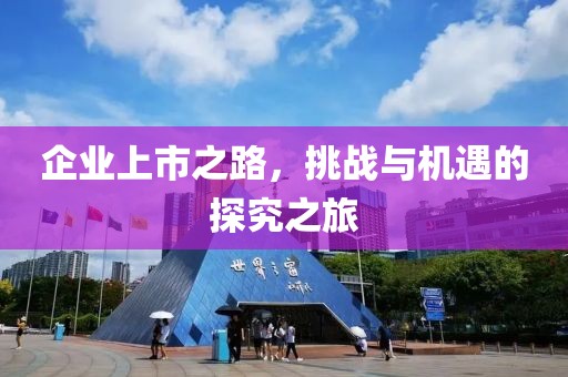 企业上市之路，挑战与机遇的探究之旅