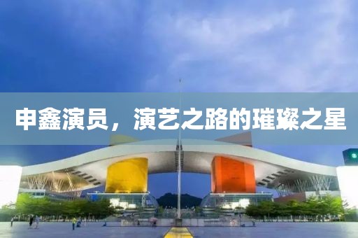 申鑫演员，演艺之路的璀璨之星
