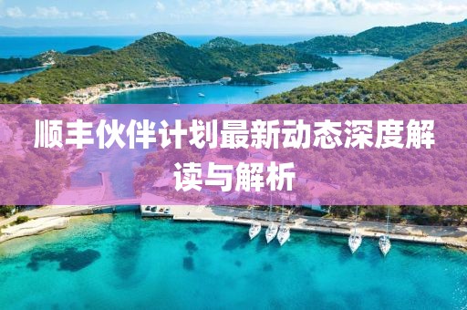 顺丰伙伴计划最新动态深度解读与解析