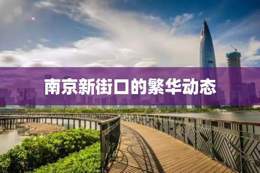 南京新街口的繁华动态