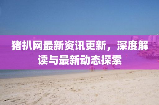 猪扒网最新资讯更新，深度解读与最新动态探索