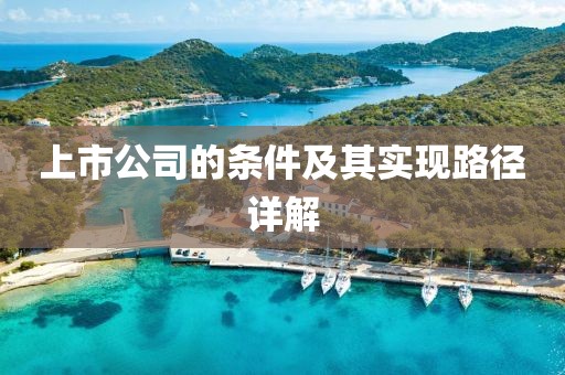 上市公司的条件及其实现路径详解