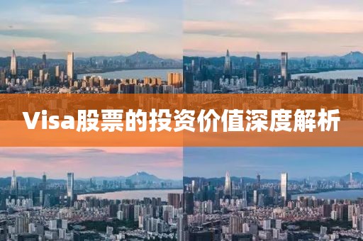 Visa股票的投资价值深度解析
