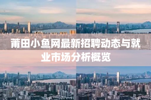 莆田小鱼网最新招聘动态与就业市场分析概览