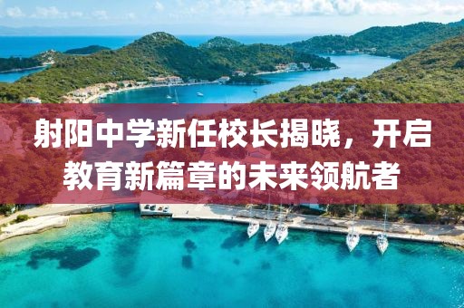 射阳中学新任校长揭晓，开启教育新篇章的未来领航者
