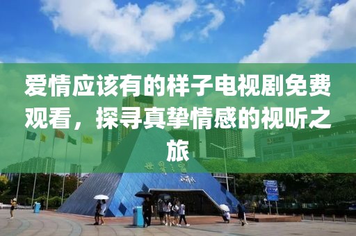 爱情应该有的样子电视剧免费观看，探寻真挚情感的视听之旅