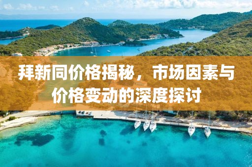 拜新同价格揭秘，市场因素与价格变动的深度探讨