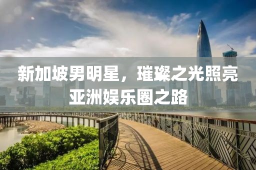 新加坡男明星，璀璨之光照亮亚洲娱乐圈之路
