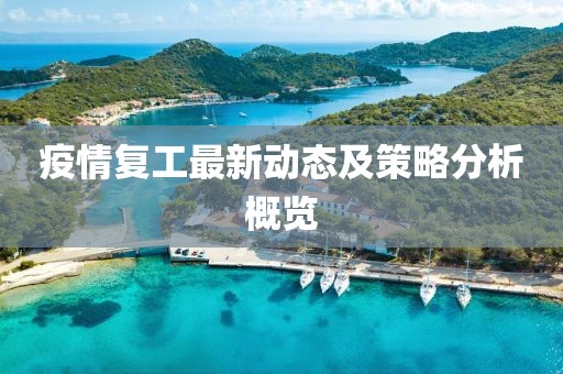疫情复工最新动态及策略分析概览