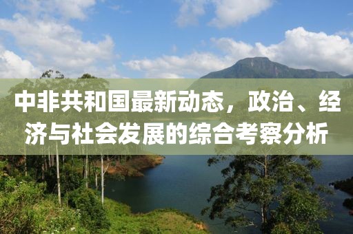 中非共和国最新动态，政治、经济与社会发展的综合考察分析