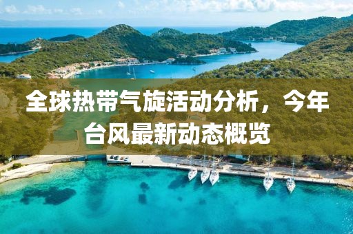 全球热带气旋活动分析，今年台风最新动态概览