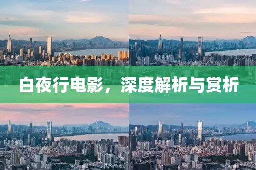 白夜行电影，深度解析与赏析