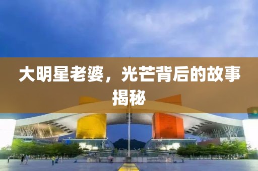 大明星老婆，光芒背后的故事揭秘