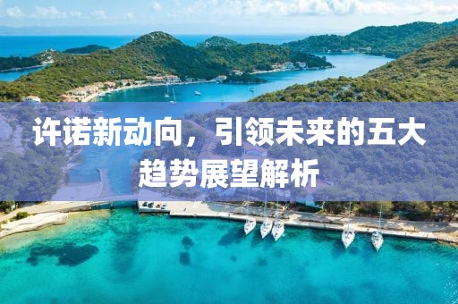许诺新动向，引领未来的五大趋势展望解析