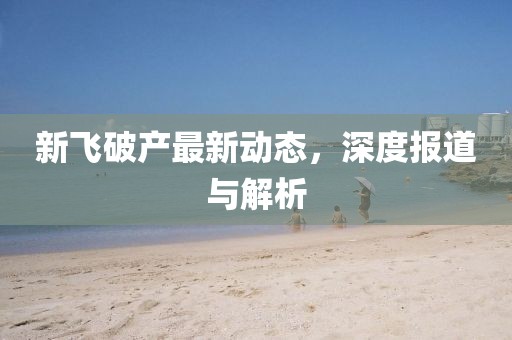 新飞破产最新动态，深度报道与解析