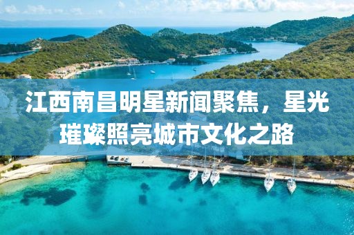 江西南昌明星新闻聚焦，星光璀璨照亮城市文化之路