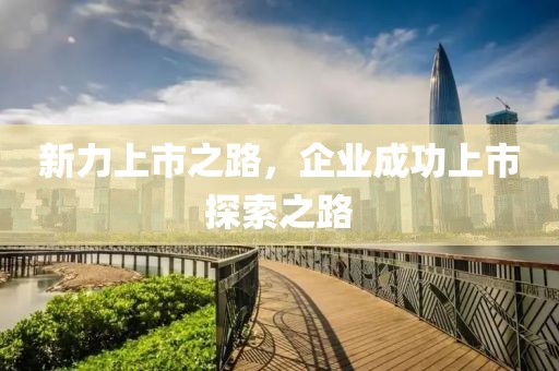 新力上市之路，企业成功上市探索之路