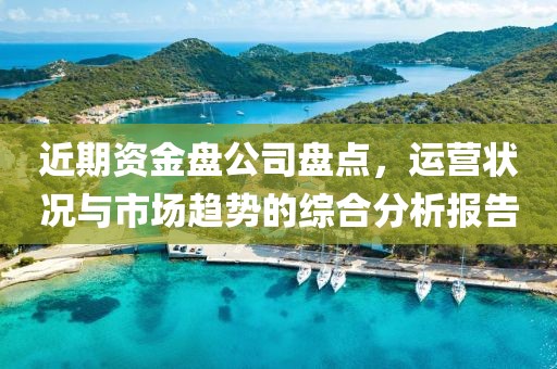 近期资金盘公司盘点，运营状况与市场趋势的综合分析报告