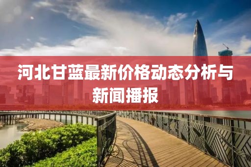 河北甘蓝最新价格动态分析与新闻播报