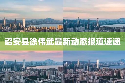 诏安县徐伟武最新动态报道速递