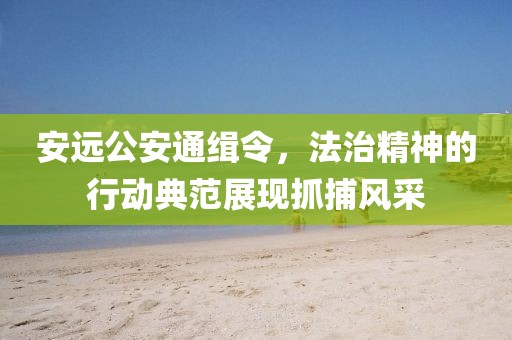 安远公安通缉令，法治精神的行动典范展现抓捕风采