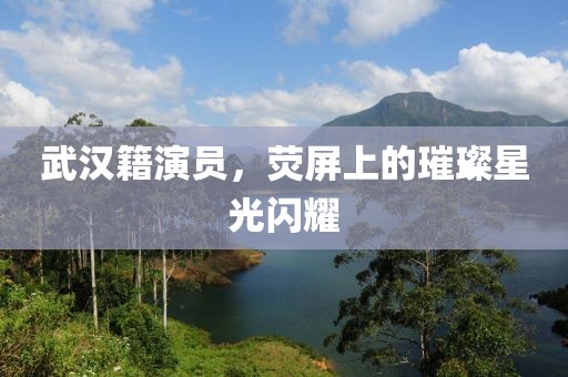 武汉籍演员，荧屏上的璀璨星光闪耀