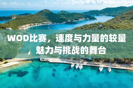 WOD比赛，速度与力量的较量，魅力与挑战的舞台