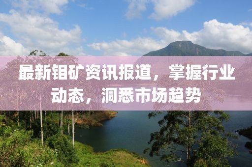 最新钼矿资讯报道，掌握行业动态，洞悉市场趋势