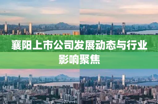 襄阳上市公司发展动态与行业影响聚焦