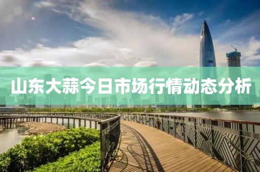 山东大蒜今日市场行情动态分析