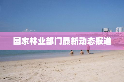 森蝶女汉子 第6页