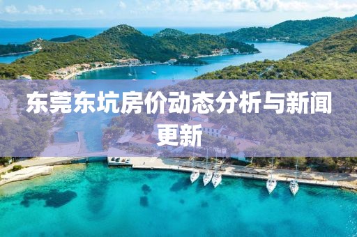 东莞东坑房价动态分析与新闻更新