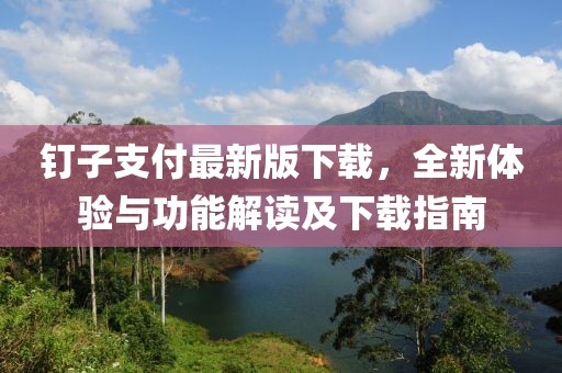 钉子支付最新版下载，全新体验与功能解读及下载指南