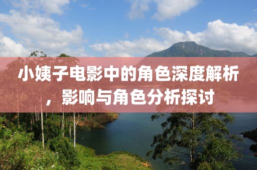 小姨子电影中的角色深度解析，影响与角色分析探讨